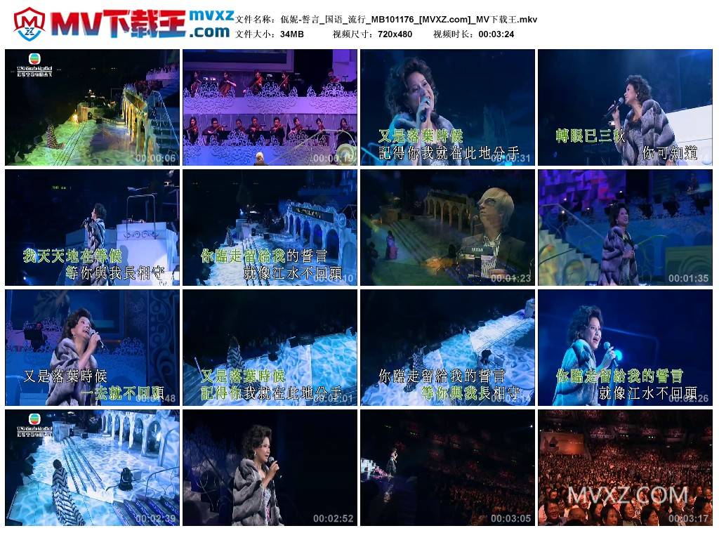 佤妮-誓言_国语_流行_MB101176